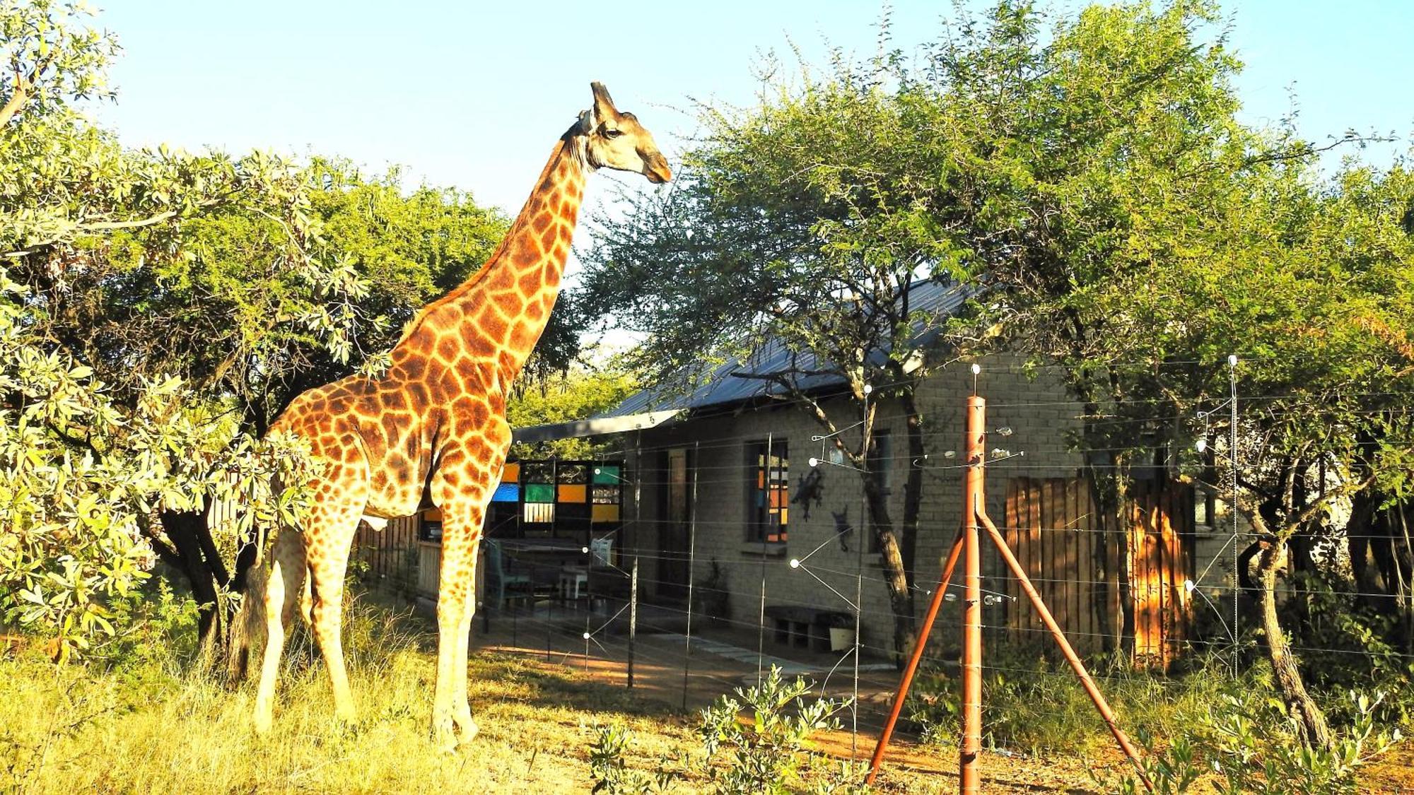 Marulani Bush Lodge Klipdrift Exterior photo